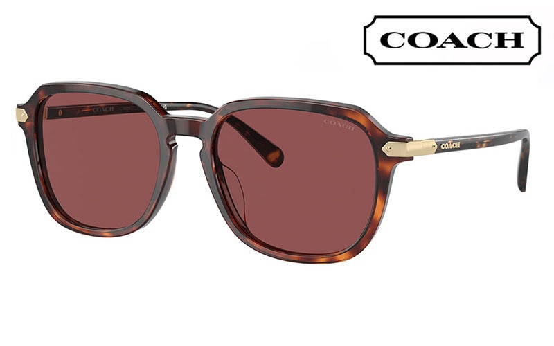 HC8383U 579875 55 コーチ COACH サングラス スクエア セル ユニバーサルフィット メンズ|商品検索