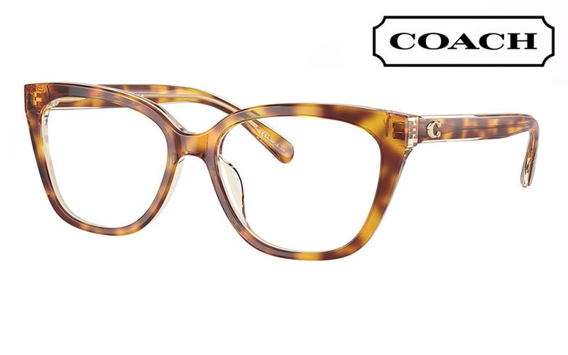 HC6226F 5756 56 コーチ COACH スクエア セル | 商品検索 | メガネ