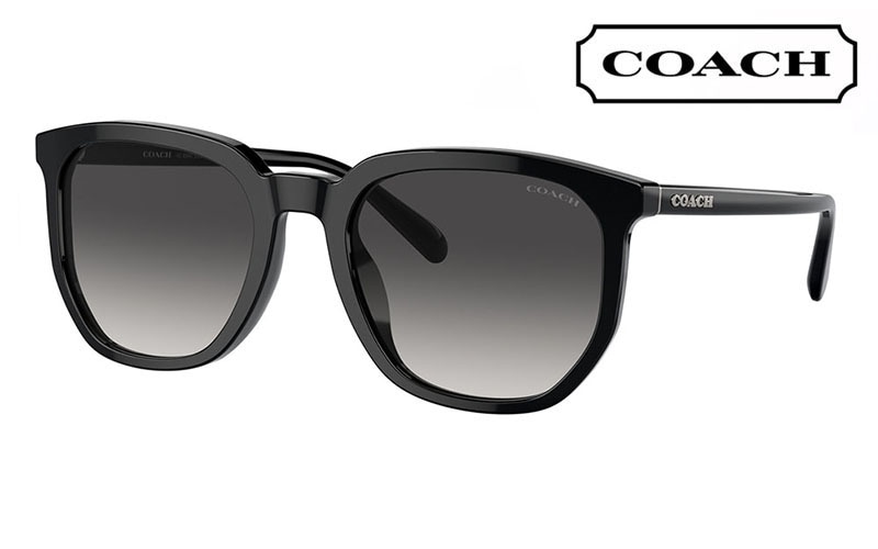 未使用　COACH　コーチ　サングラス　5002T3　ウェリントン スクエア HC8385U 5002T3 54 コーチ COACH サングラス ウェリントン