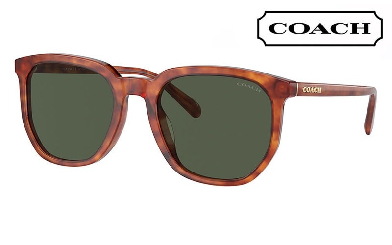 HC8384U 577482 55 コーチ COACH サングラス ウェリントン  ボストン レディース ユニバーサルフィット|商品検索