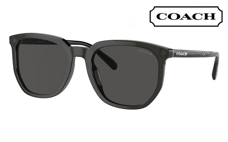 HC8384U 579387 55 コーチ COACH サングラス ウェリントン  ボストン レディース ユニバーサルフィット|商品検索
