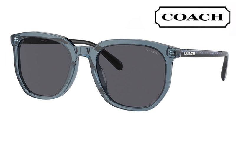 HC8384U 579487 55 コーチ COACH サングラス ウェリントン  ボストン レディース ユニバーサルフィット|商品検索