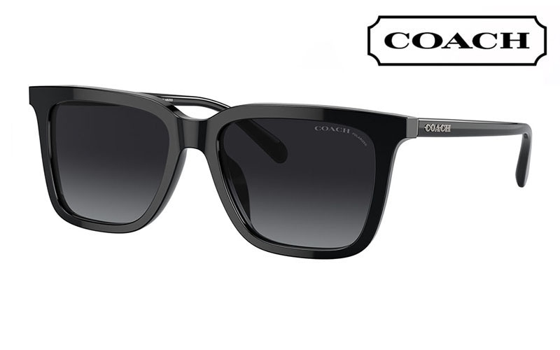HC8385U 5002T3 54 コーチ COACH サングラス ウェリントン  スクエア レディース ユニバーサルフィット 偏光レンズ|商品検索