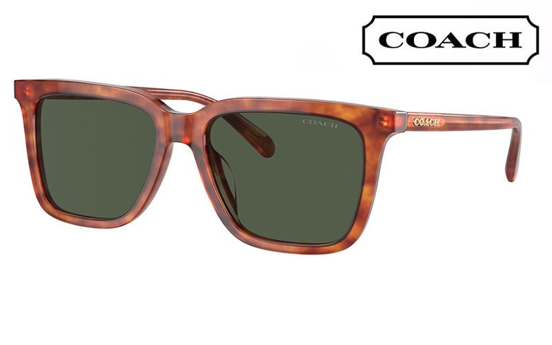 HC8385U 577482 54 コーチ COACH サングラス ウェリントン  スクエア レディース ユニバーサルフィット|商品検索