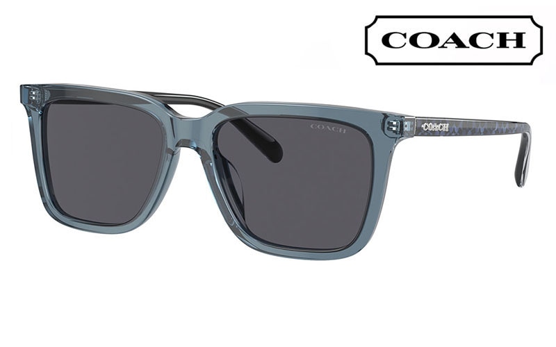 HC8385U 579487 54 コーチ COACH サングラス ウェリントン  スクエア レディース ユニバーサルフィット|商品検索