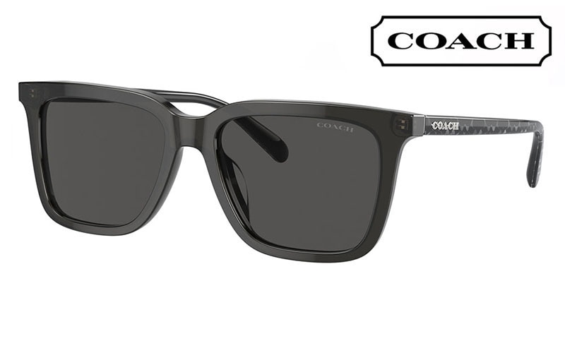 HC8385U 579387 54 コーチ COACH サングラス ウェリントン  スクエア レディース ユニバーサルフィット|商品検索