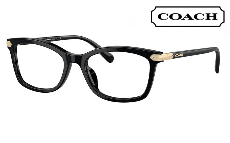 HC6219U 5002 51 コーチ COACH レクタングル セル|商品検索