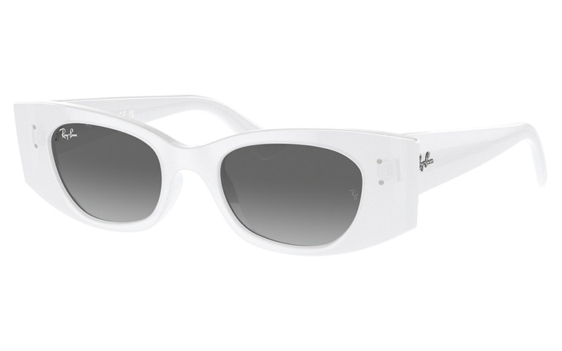 RB4427 675911 49 レイバン Ray-Ban  KAT BIO-BASED セル
