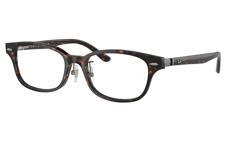 RX5427D 8287 53 レイバン Ray-Ban スクエア ユニセックス セル | 商品