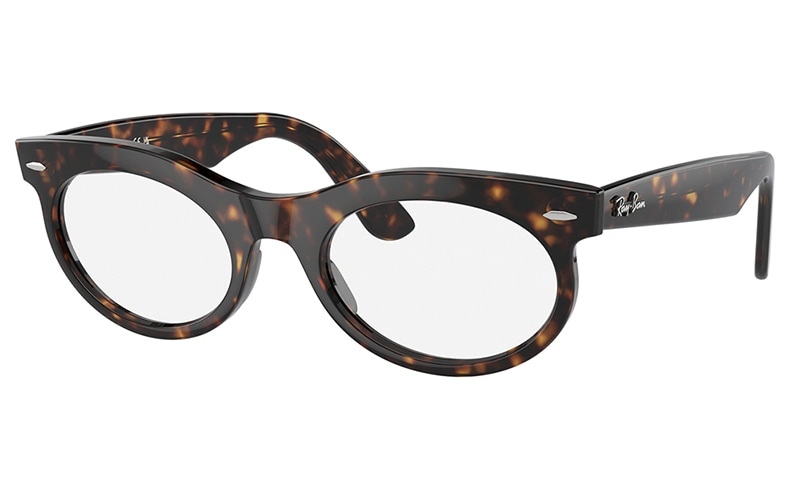 レイバン　れンズ RB2242F 902/GI 53 レイバン WAYFARER OVAL オーバル セル フル