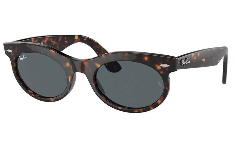 RB2242F 902/R5 53 レイバン WAYFARER OVAL オーバル セル フル
