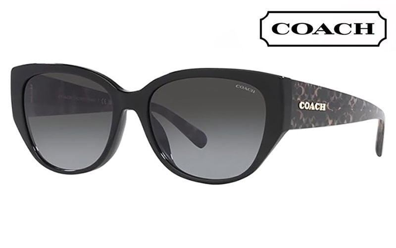 コーチ サングラス HC8362U 50028G 57 COACH CH563 レクタングル ユニバーサルフィット レディース|商品検索