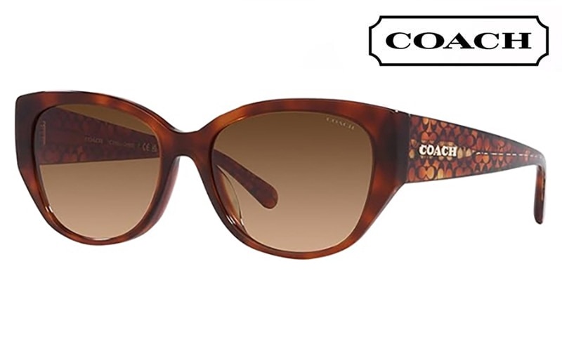 コーチ サングラス HC8362U 574174 57 COACH CH563 レクタングル ユニバーサルフィット レディース|商品検索