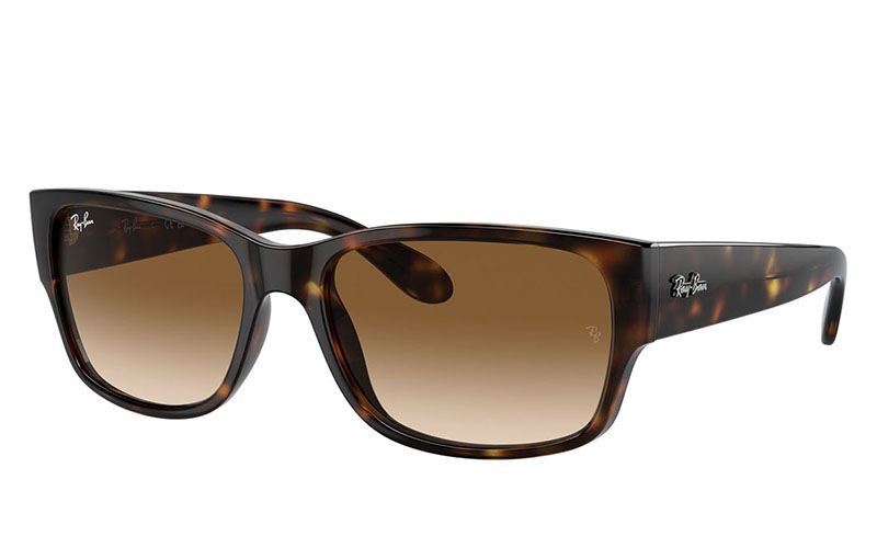 RB4388 710/51 58 レイバン サングラス Ray-Banフルリム セル スクエア |商品検索