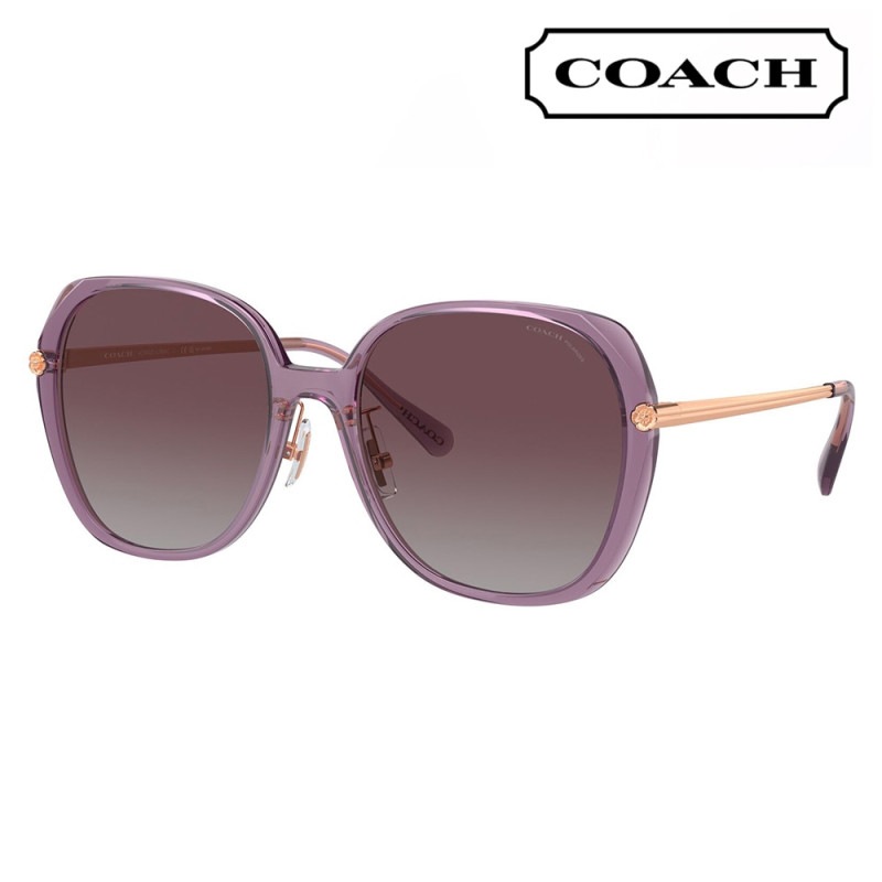 HC8403D 582562 59 コーチ COACH サングラス スクエア セル レディース|商品検索