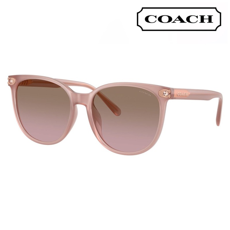 HC8414BD 583914 57  コーチ COACH サングラス ラウンド セル|商品検索
