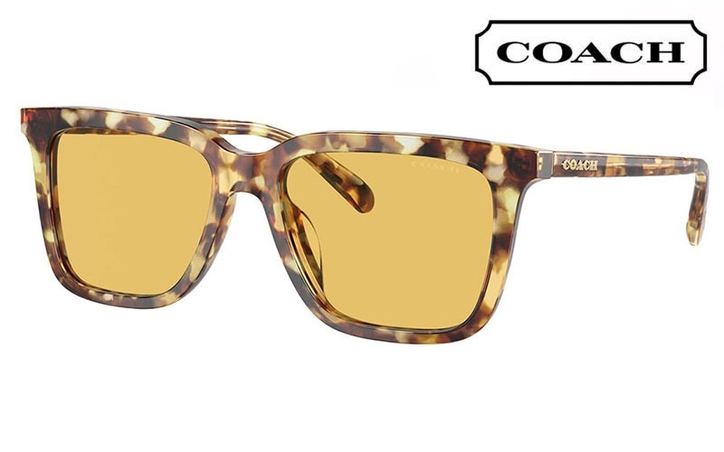HC8385U 504585 54 コーチ COACH サングラス ウェリントン  スクエア レディース ユニバーサルフィット|商品検索