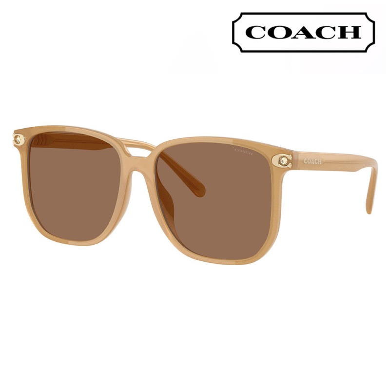 HC8413BD 585473 58  コーチ COACH サングラス スクエア セル アジアンデザイン レディース|商品検索