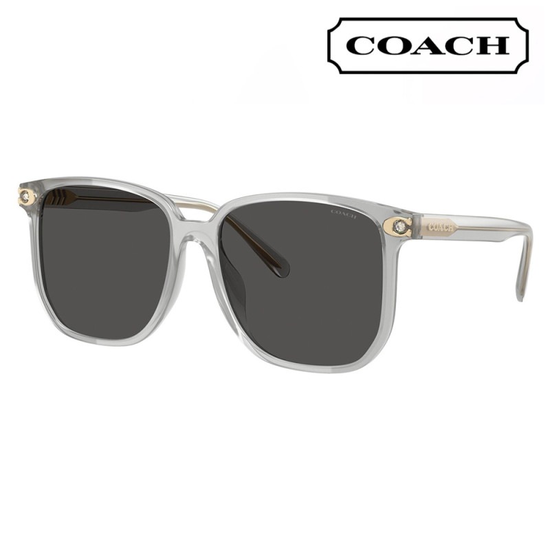 HC8413BD 561487 58  コーチ COACH サングラス スクエア セル アジアンデザイン レディース|商品検索