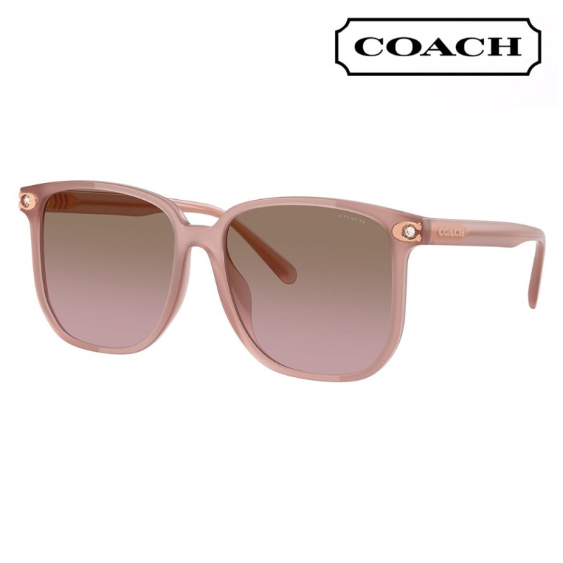 HC8413BD 583914 58  コーチ COACH サングラス スクエア セル アジアンデザイン レディース|商品検索