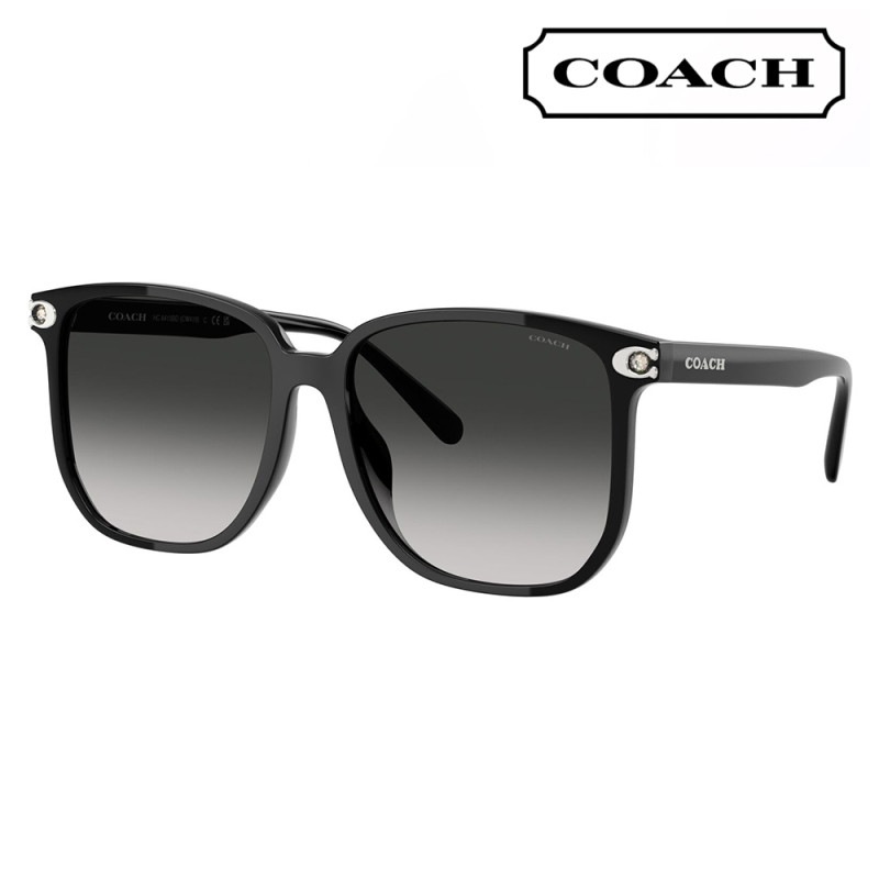 HC8413BD 50023C 58  コーチ COACH サングラス スクエア セル アジアンデザイン レディース|商品検索