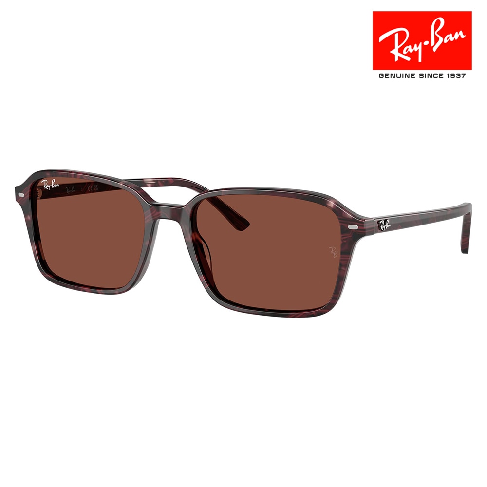 Ray-Ban RB2231F ブラック 調光サングラス RB2231F 901/GG 56 レイバン Ray-Ban サングラス スクエア セル