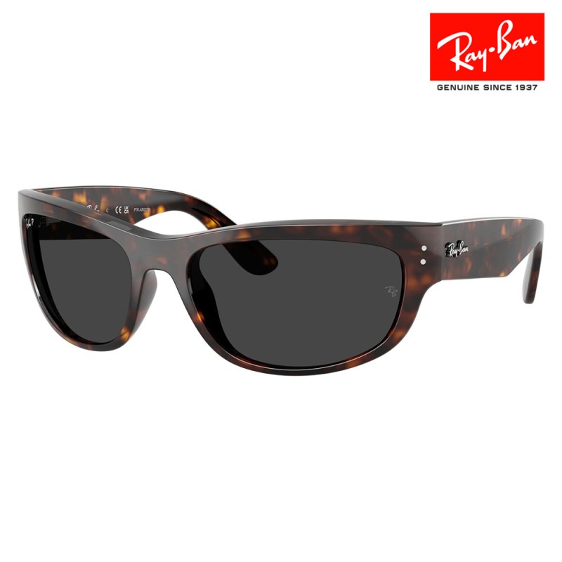 RB2289 902/48 60 Ray-Ban MEGA BALORAMA レクタングル セル ユニセックス 偏光|商品検索