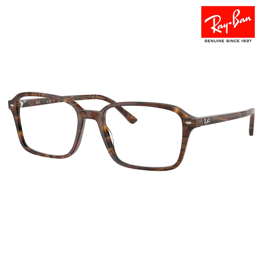 RX5431F 8395 54 レイバン Ray-Ban メガネ RAIMOND レイモンド