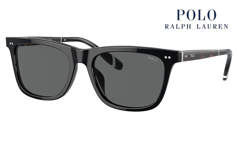 PH4205U 500187 56 POLO RALPH LAUREN ポロ ラルフローレン サングラス スクエア ユニバーサルデザイン セル メンズ|商品検索