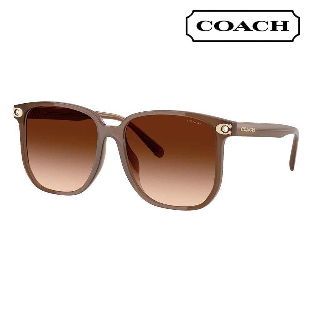 Coach サングラス hc8145 (L948) 512013 コーチ 鼈甲 キッシング C サングラス サングラス