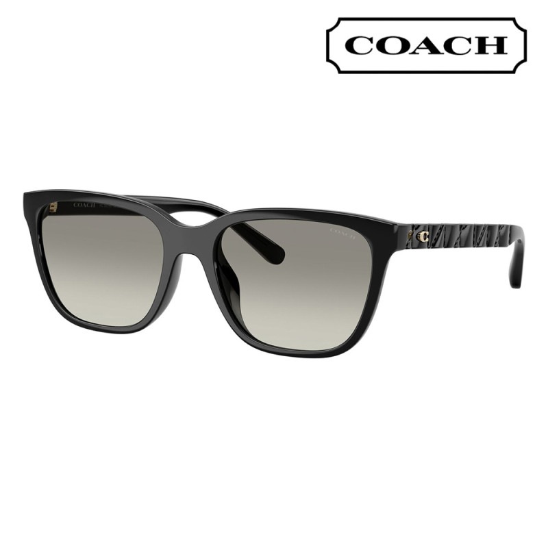 HC8429D 50023C 56 コーチ COACH サングラスQUILTED TABBY スクエア セル アジアンフィット レディース|商品検索