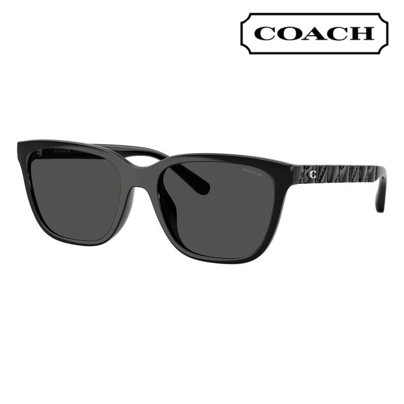 HC8429D 500287 56 コーチ COACH サングラスQUILTED TABBY スクエア セル アジアンフィット レディース|商品検索