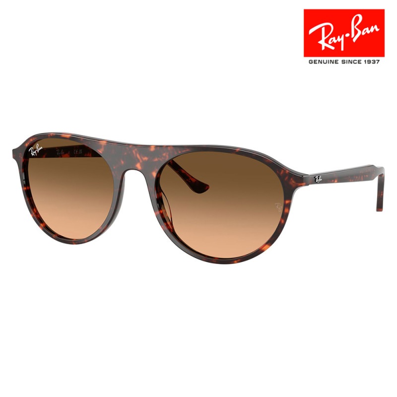 RB2215F 14293B 56 レイバン Ray-Ban スクエア ラウンド セル フルフィット ユニセックス |商品検索