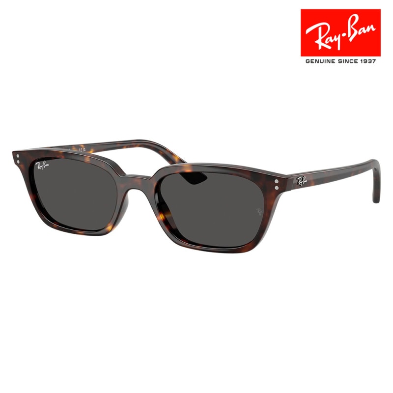 RB4456F 135987 52 レイバン Ray-Ban サングラス ZAYA ザヤ PULSEコレクション フルフィット スクエア セル ユニセックス