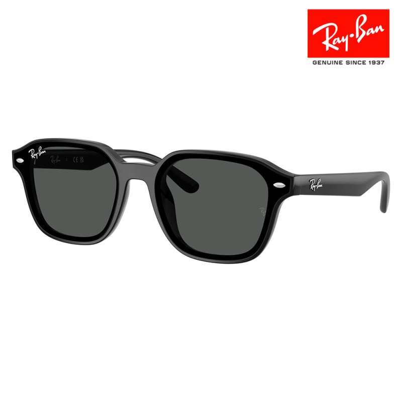 RB4458D 601/87 65 レイバン Ray-Ban サングラス スクエア セル ユニセックス