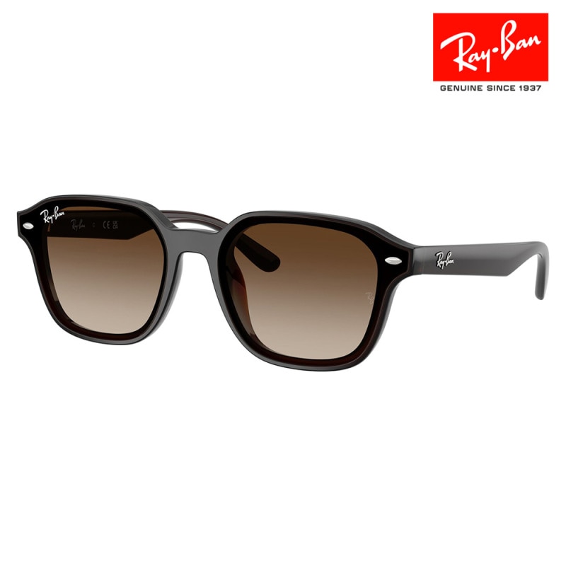 RB4458D 714/13 65 レイバン Ray-Ban サングラス スクエア セル ユニセックス