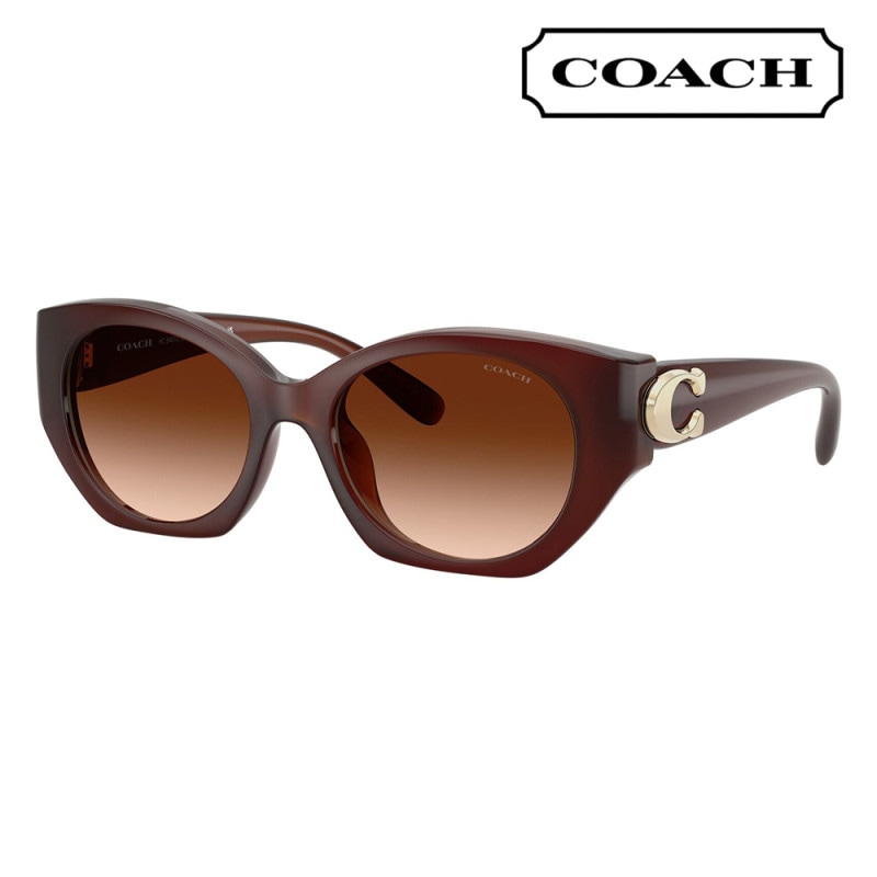 HC8407U 584174 52 コーチ COACH サングラス フォックス オーバル セル ユニバーサルデザイン レディース
