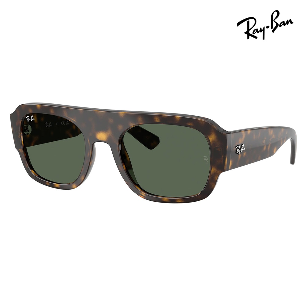 RB2218 679071 55 レイバン Ray-Ban 多角形 セル ユニセックス | 商品