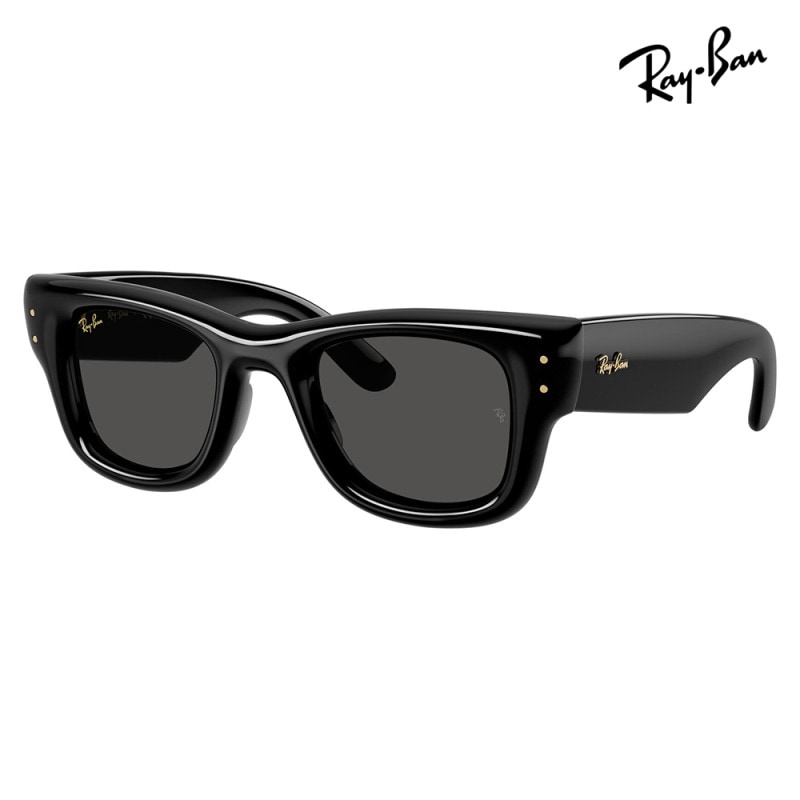 RayBan♡サングラス レイバン公式ストア | Ray-Ban® サングラス・メガネ