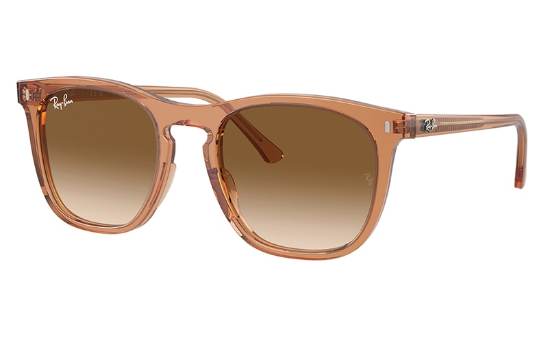 RB2210F 845731 53 レイバン Ray-Ban ウエリントン セル  