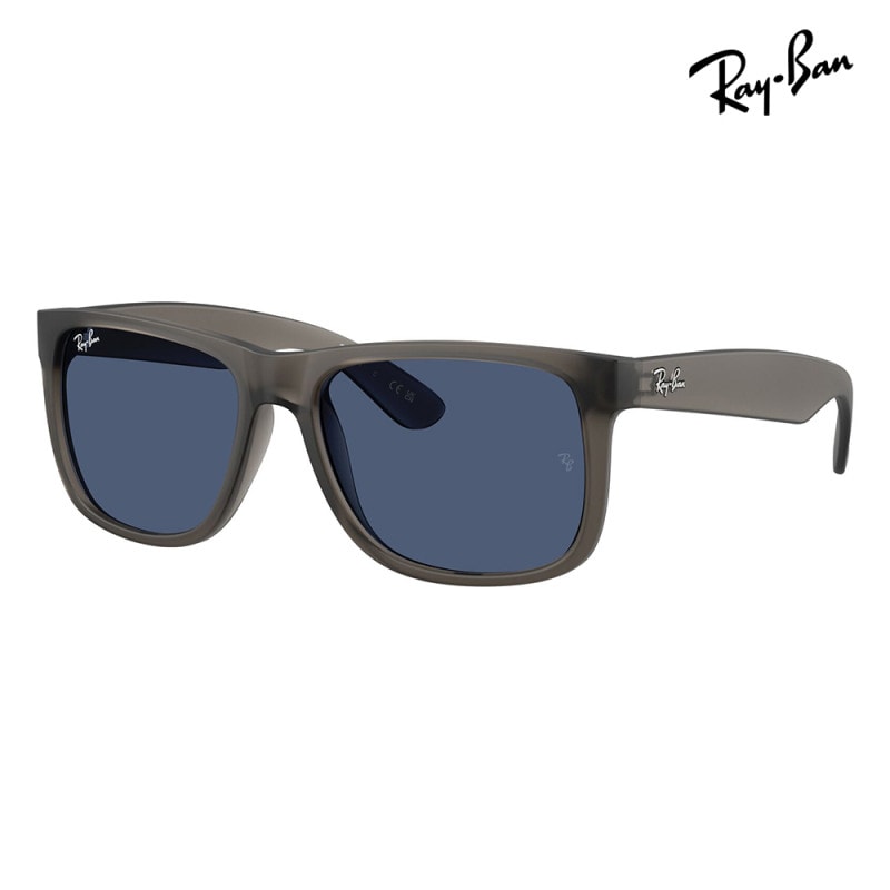 商品検索,ブランドで選ぶ,Ray-Ban,サングラス | メガネフラワー