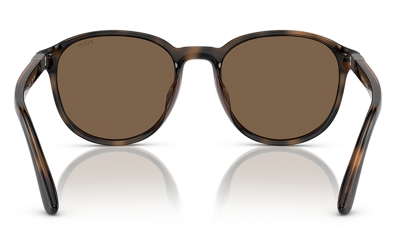 PH4207U 562487 54 POLO RALPH LAUREN ポロ ラルフローレン