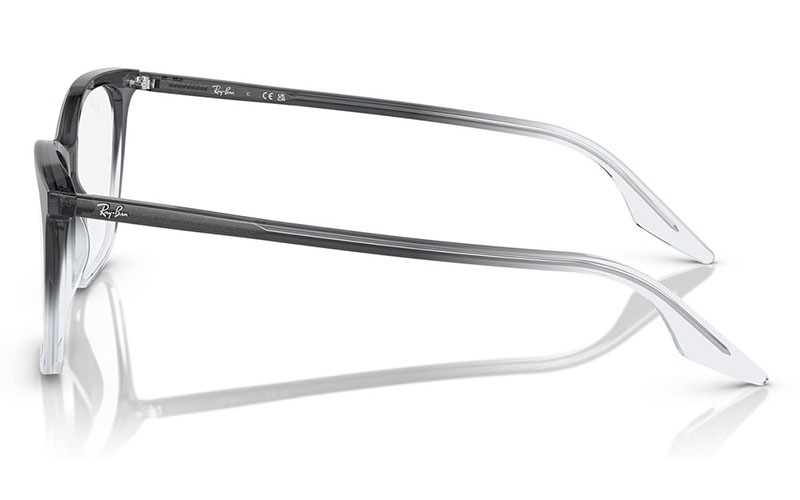 極美品✨Ray-Ban ウェリントンシェイプ サングラス 品質タグ紙&ケース付 RB4430F 667787 52 レイバン Ray-Ban サングラス ZENA キャット