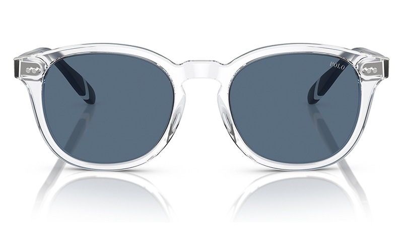 PH4206F 533180 52 POLO RALPH LAUREN ポロ ラルフローレン サングラス