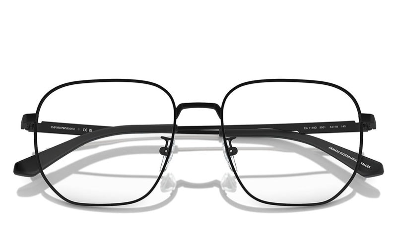 EA1159D 3001 54 EMPORIO ARMANI エンポリオアルマーニ アジアン