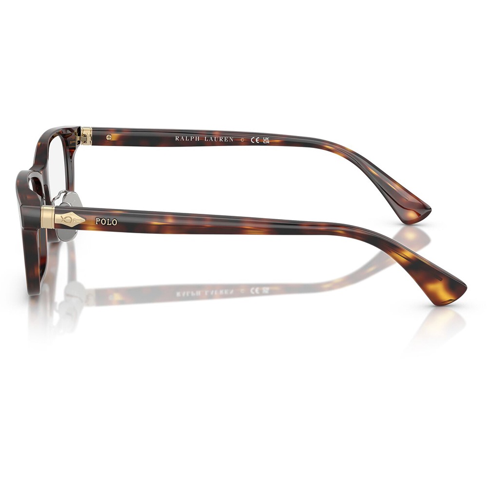 PH2286D 6137 53 POLO RALPH LAUREN スクエア ユニセックス アジアン