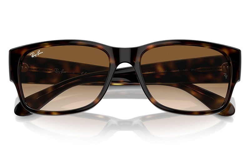 RB4388 710/51 55 レイバン サングラス Ray-Banフルリム セル スクエア