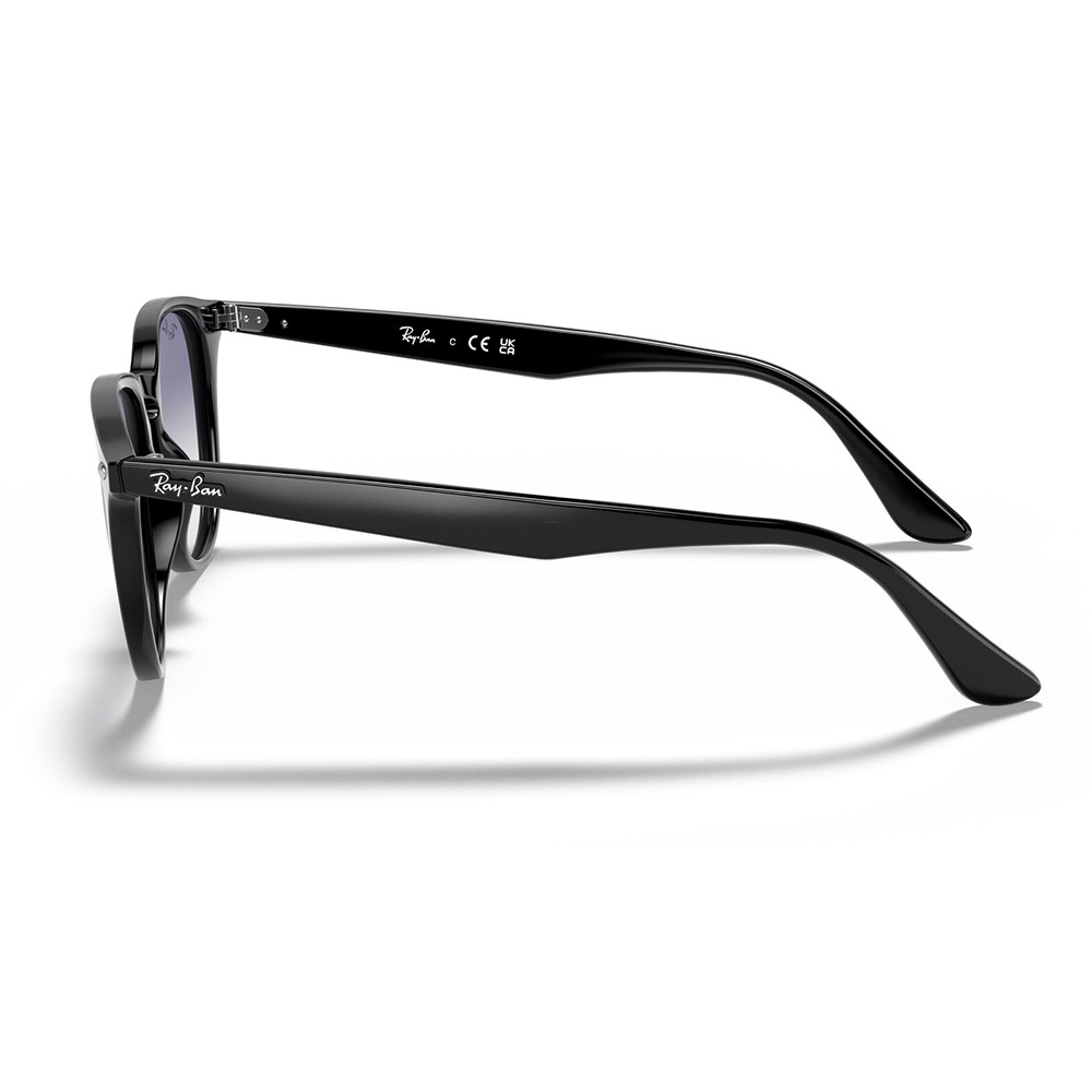 RB4259F 601/19 50 レイバン Ray-Ban サングラス フルフィット | 商品