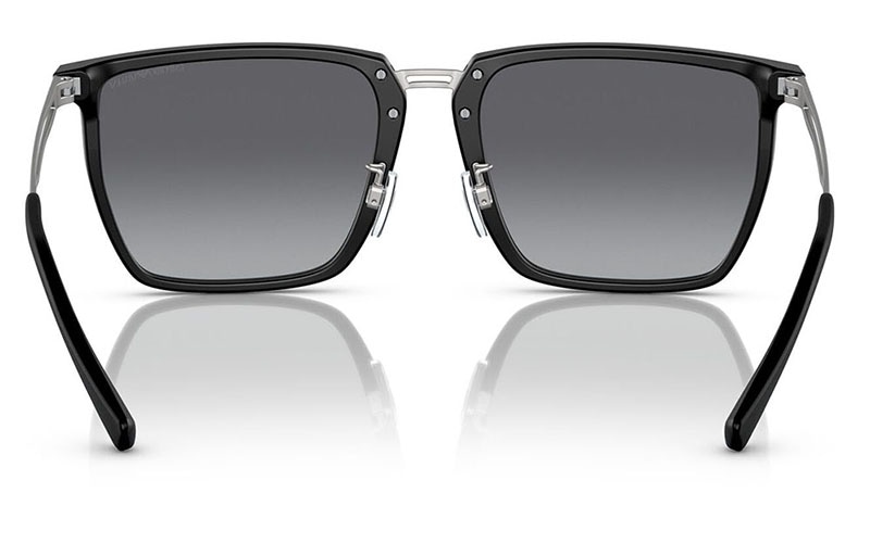 EA4196D 5001T3 57 EMPORIO ARMANI エンポリオアルマーニ サングラス