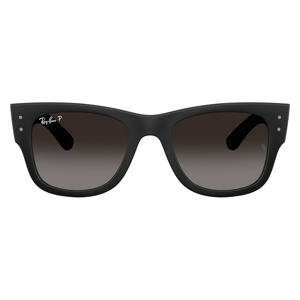 RB4840S 601ST3 50 MEGA WAYFARER LITEFORCE ユニセックス 偏光